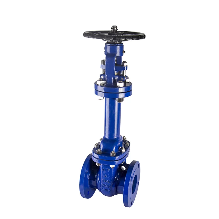 ANSI Bellow Gate Valve