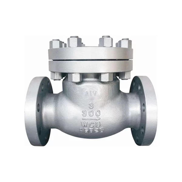 ANSI Check Valve