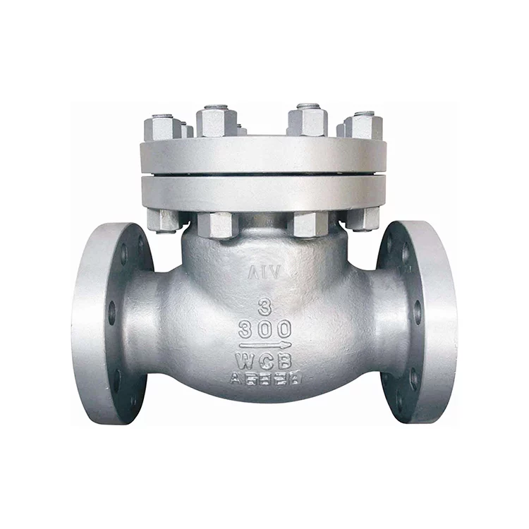 ANSI Check Valve