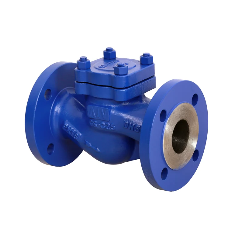 DIN Lift Check Valve