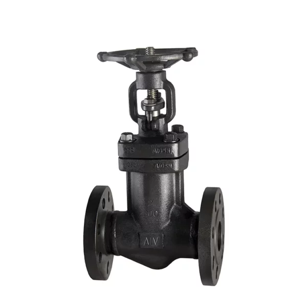 Forged Steel Bellow Globe Valve