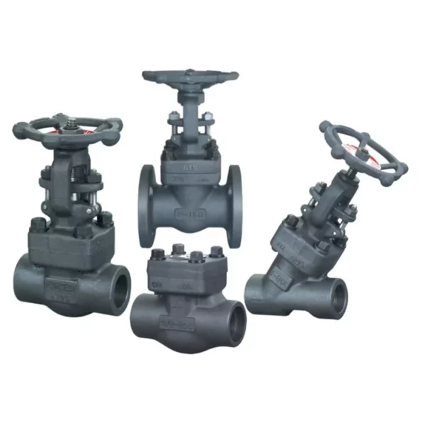 Forged Valve