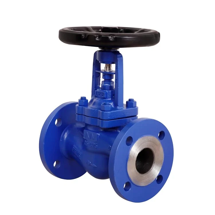 din bellow globe valve