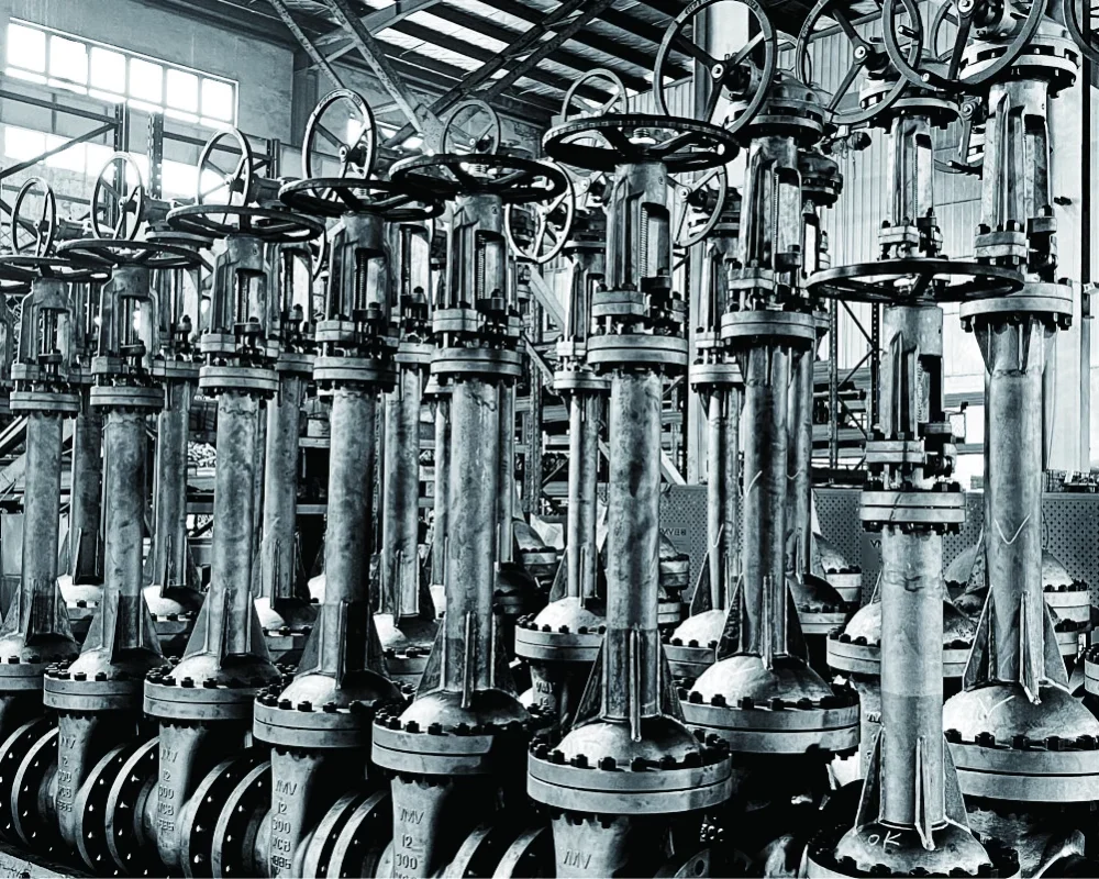 BELLOWS SEALED GATE VALVE Selection and Application